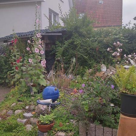 Charmante Ferienwohnung Plön Eksteriør bilde